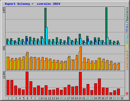 Raport Dzienny -  czerwiec 2024