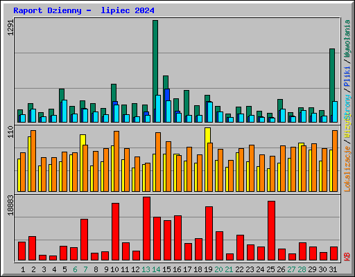 Raport Dzienny -  lipiec 2024