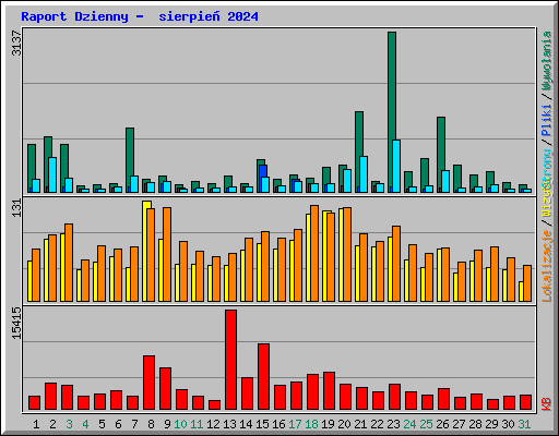 Raport Dzienny -  sierpie 2024