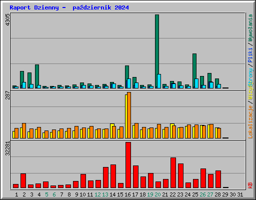 Raport Dzienny -  padziernik 2024
