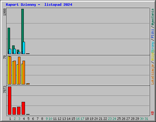 Raport Dzienny -  listopad 2024