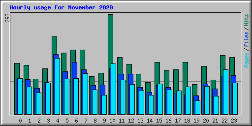 Hourly usage for November 2020