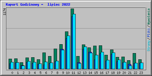 Raport Godzinowy -  lipiec 2022