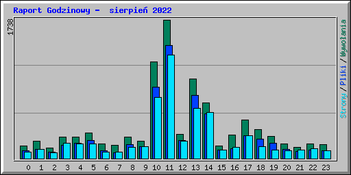 Raport Godzinowy -  sierpie 2022