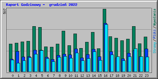 Raport Godzinowy -  grudzie 2022