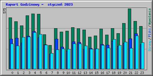 Raport Godzinowy -  stycze 2023