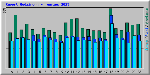 Raport Godzinowy -  marzec 2023