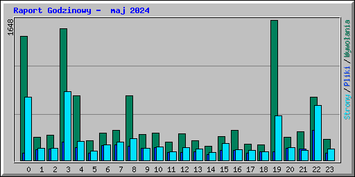 Raport Godzinowy -  maj 2024