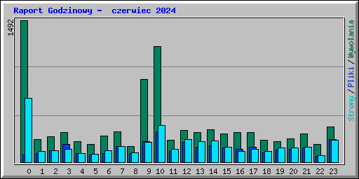 Raport Godzinowy -  czerwiec 2024