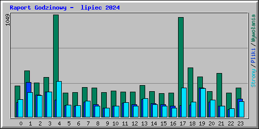 Raport Godzinowy -  lipiec 2024