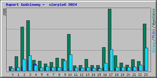 Raport Godzinowy -  sierpie 2024