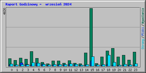 Raport Godzinowy -  wrzesie 2024