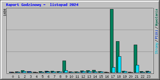 Raport Godzinowy -  listopad 2024