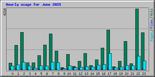 Hourly usage for June 2025
