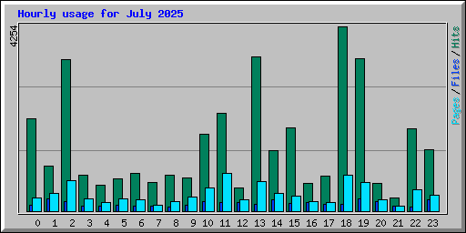 Hourly usage for July 2025