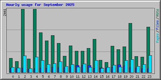 Hourly usage for September 2025