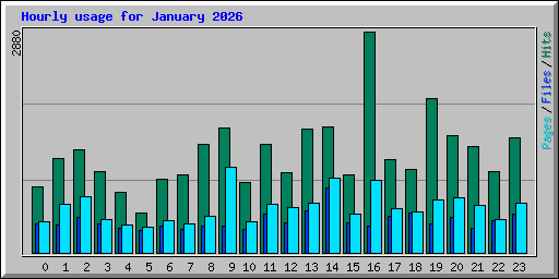 Hourly usage for January 2026